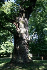 Killikus&reg; Fotographie